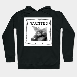 FOR TENDER THE MOST WANTED Hoodie